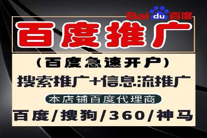 SEM推广代运营公司助力企业实现营销目标